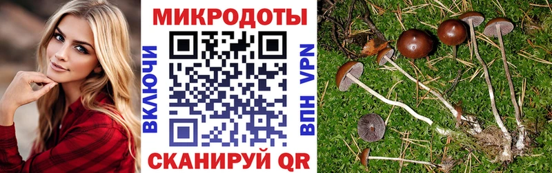 Галлюциногенные грибы мицелий Красноперекопск