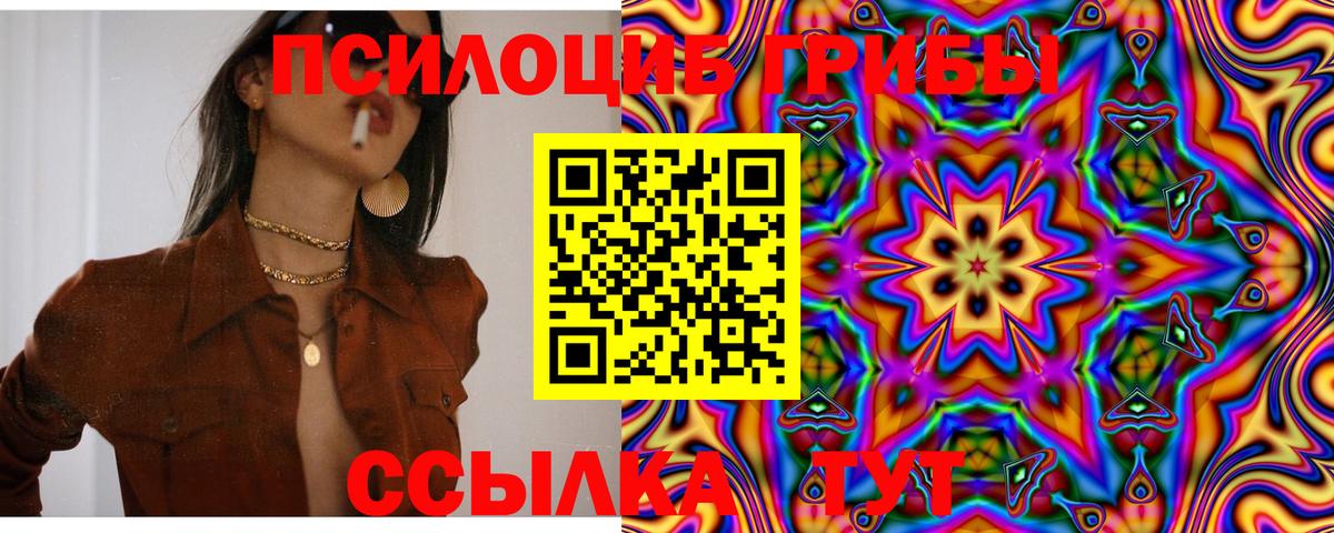 Псилоцибиновые грибы Psilocybine cubensis Красноперекопск